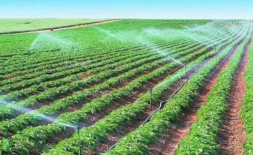男人插插插色视频农田高 效节水灌溉